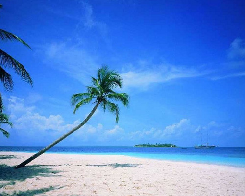 Beach Pics