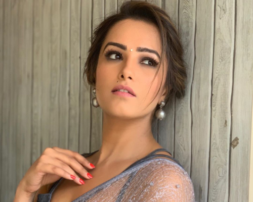 Anita Hassanandani HD Pictures