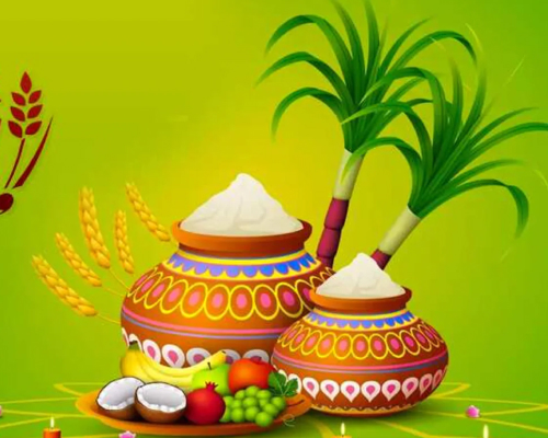 Happy Pongal Wishes